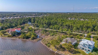 Gulf Breeze waterfront sound lot with some wetlands. Wetlands - photo 3