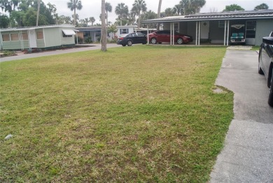 Trout Lake Lot For Sale in Eustis Florida