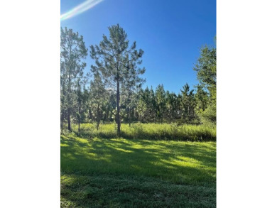  Acreage For Sale in Poplarville Mississippi