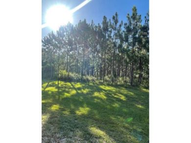  Acreage For Sale in Poplarville Mississippi