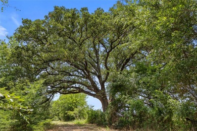 733+/- Acre Legacy Ranch - Kaufman County - Kemp, Texas Rare - photo 2