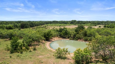 733+/- Acre Legacy Ranch - Kaufman County - Kemp, Texas Rare - photo 4