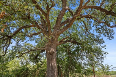 733+/- Acre Legacy Ranch - Kaufman County - Kemp, Texas Rare - photo 5