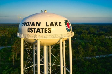 Lake Weohyakapka (Lake Walk-In-Water) Lot For Sale in Indian Lake Estates Florida