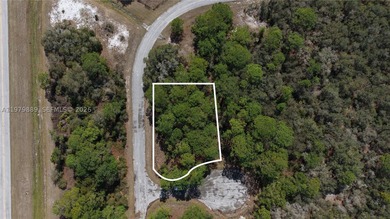 Lake Marion - Polk County Lot For Sale in  Florida