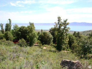 Bear Lake Lot For Sale in Garden City Utah