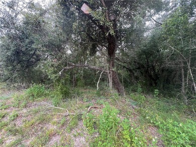 Explore this exceptional 0.25-acre estate lot in the highly - photo 11