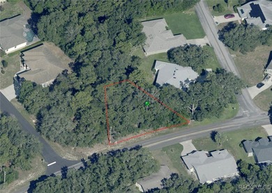 Explore this exceptional 0.25-acre estate lot in the highly - photo 12