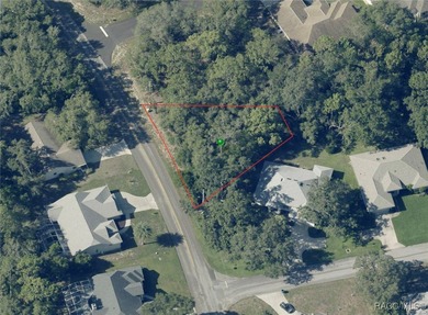 Explore this exceptional 0.25-acre estate lot in the highly - photo 14