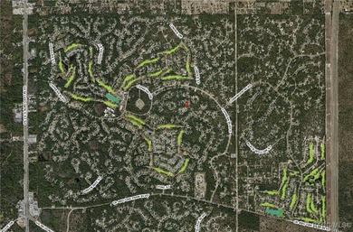 Explore this exceptional 0.25-acre estate lot in the highly - photo 16
