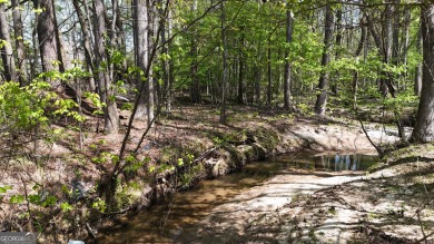 (private lake, pond, creek) Lot For Sale in Fayetteville Georgia