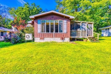 Ausable Lake Home For Sale in Hale Michigan