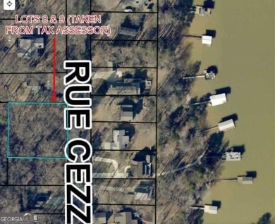 Lake Hartwell Lot For Sale in Lavonia Georgia