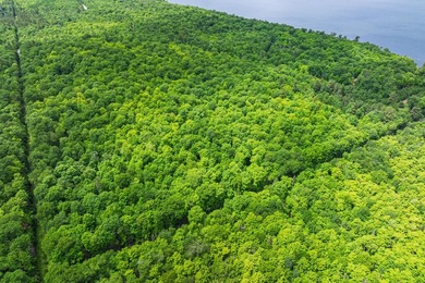 This prime, 10.9+ acre well-wooded lot in Northern Wisconsin - photo 13