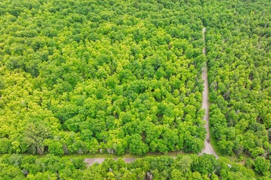 This prime, 10.9+ acre well-wooded lot in Northern Wisconsin - photo 14