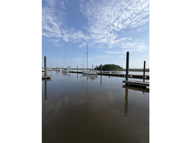 Looking for a homesite in a riverfront community with - photo 15