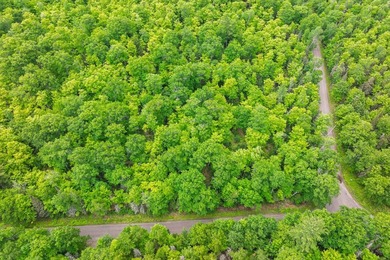 This prime, 10.9+ acre well-wooded lot in Northern Wisconsin - photo 16