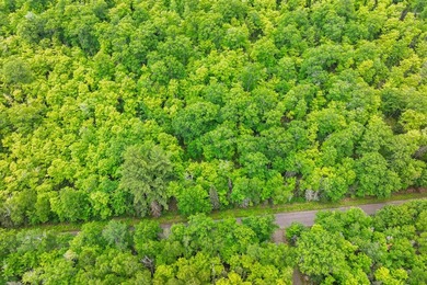 This prime, 10.9+ acre well-wooded lot in Northern Wisconsin - photo 17