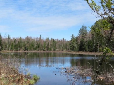 (private lake, pond, creek) Acreage For Sale in Port Leyden New York