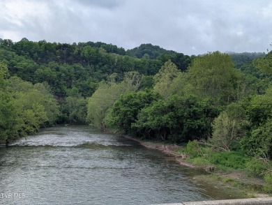 Lake Acreage For Sale in Gate City, Virginia