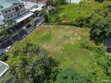 Commercial Land in Bella Vista - a strategic opportunity in the - photo 2