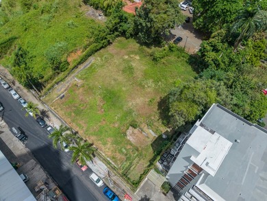 Commercial Land in Bella Vista - a strategic opportunity in the - photo 5