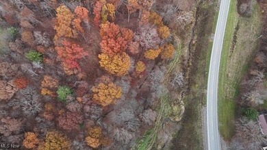 Wolf Run Lake Acreage For Sale in Caldwell Ohio