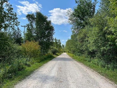 This large parcel sits on the north shore of Gulliver Lake and - photo 11