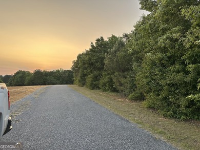 Build your dream getaway in Cherokee Falls near Weiss Lake! This - photo 21