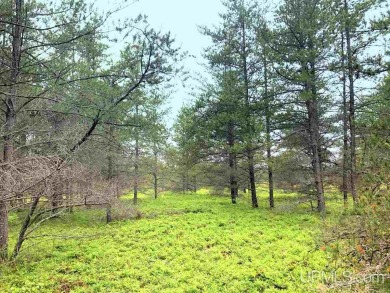 Little Lake - Delta County Acreage For Sale in Gwinn Michigan