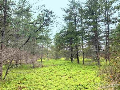 Lake Acreage Off Market in Gwinn, Michigan