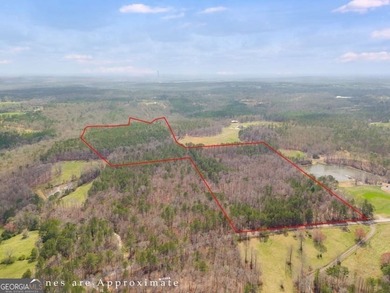 (private lake, pond, creek) Acreage For Sale in Carrollton Georgia