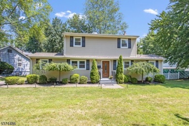 Lake Home For Sale in Parsippany-Troy Hills Twp., New Jersey