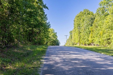 Wooded 14-acre m/l property ready for you to make it your own! - photo 8