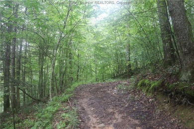 Lake Lot For Sale in , West Virginia