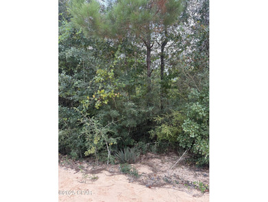 Compass Lake Lot For Sale in Alford Florida