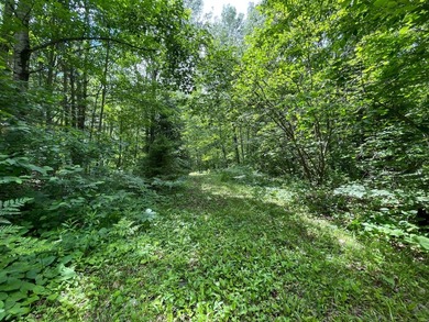 Fantastic log-sided year-round cottage tucked away on 24 private - photo 37