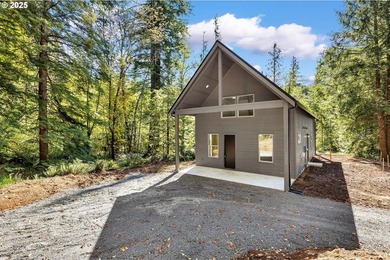 Lake Home For Sale in Yacolt, Washington