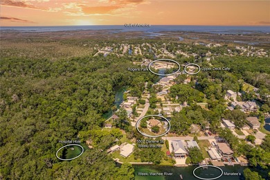 Weeki Wachee River Home For Sale in Weeki Wachee Florida