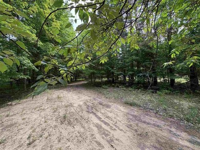 Escape to Northern Michigan with this beautiful 1+ acre parcel - photo 2