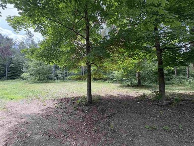Escape to Northern Michigan with this beautiful 1+ acre parcel - photo 5