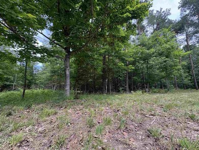 Escape to Northern Michigan with this beautiful 1+ acre parcel - photo 6