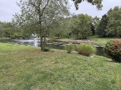 (private lake, pond, creek) Lot For Sale in Shorewood Illinois