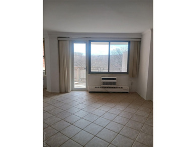 OVERSIZED STUDIO UNIT WITH SEPARATE SLEEPING ALCOVE BALCONY UNIT - photo 13