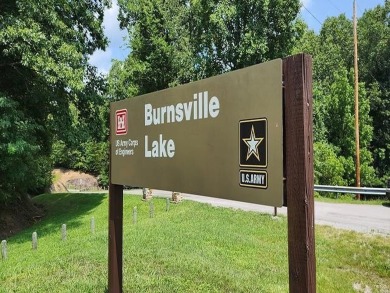 Burnsville Lake Acreage For Sale in Napier West Virginia