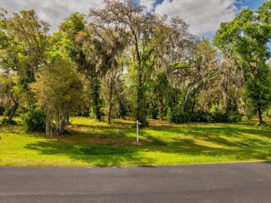 Clearwater Lake - Lake County Acreage For Sale in Leesburg Florida