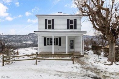 Ohio River Home For Sale in Martins Ferry Ohio