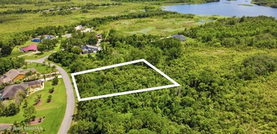 Build your home on an amazing 1 acre lot in Rambling Acres West! - photo 1