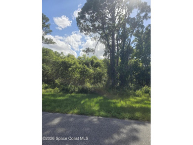 Build your home on an amazing 1 acre lot in Rambling Acres West! - photo 5