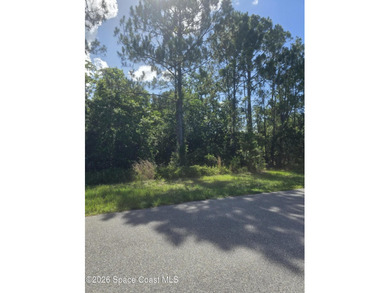 Build your home on an amazing 1 acre lot in Rambling Acres West! - photo 8